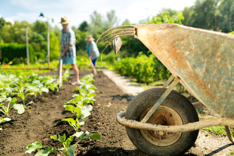 RAC – Travaux agricoles (4256)