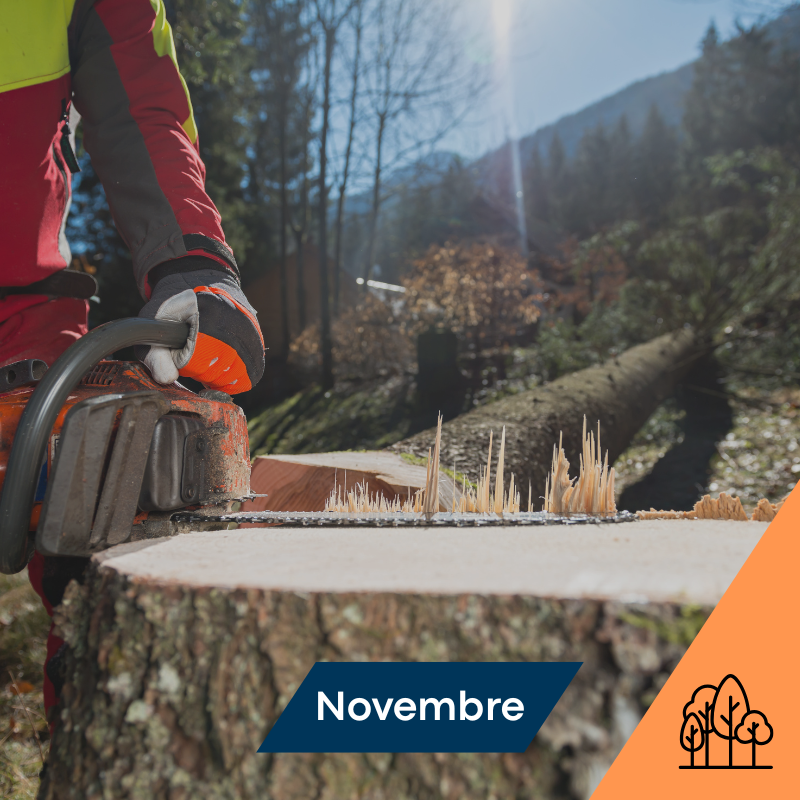 Gabarit Images site web Acces formation 800 x 800