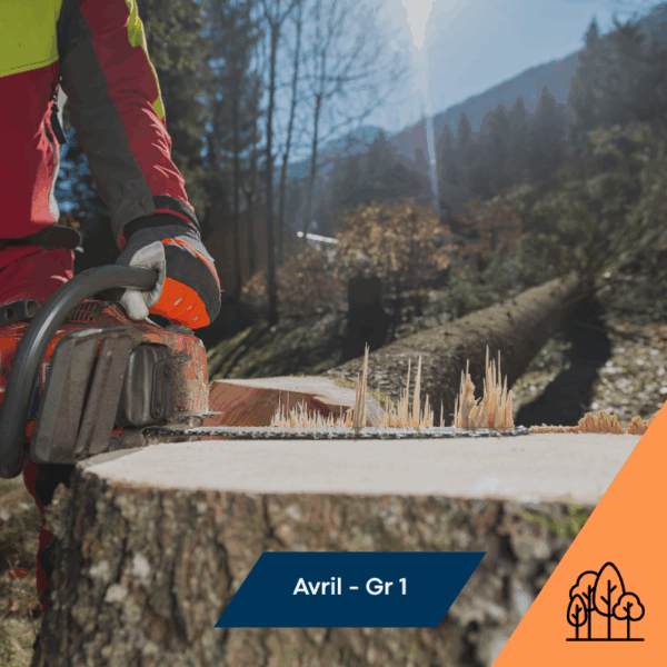Abattage manuel sécuritaire – Formation certifiée CNESST - Avril- Gr 1