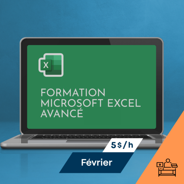 Excel niveau 3 Avancé Février 2027