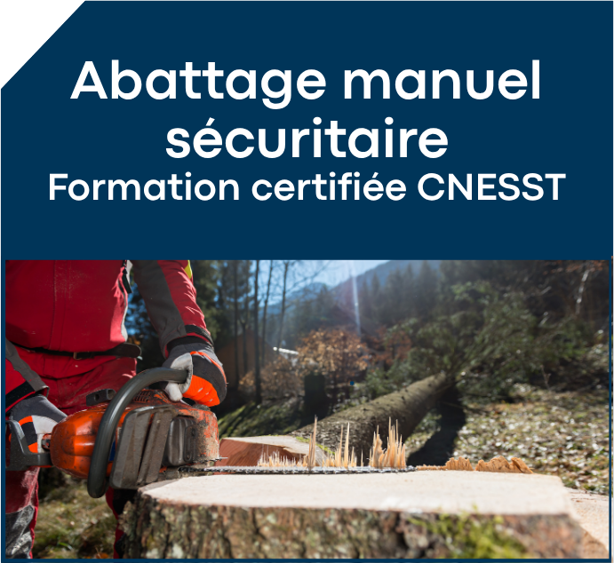 Programmation automne 2026 1 PA2026 01