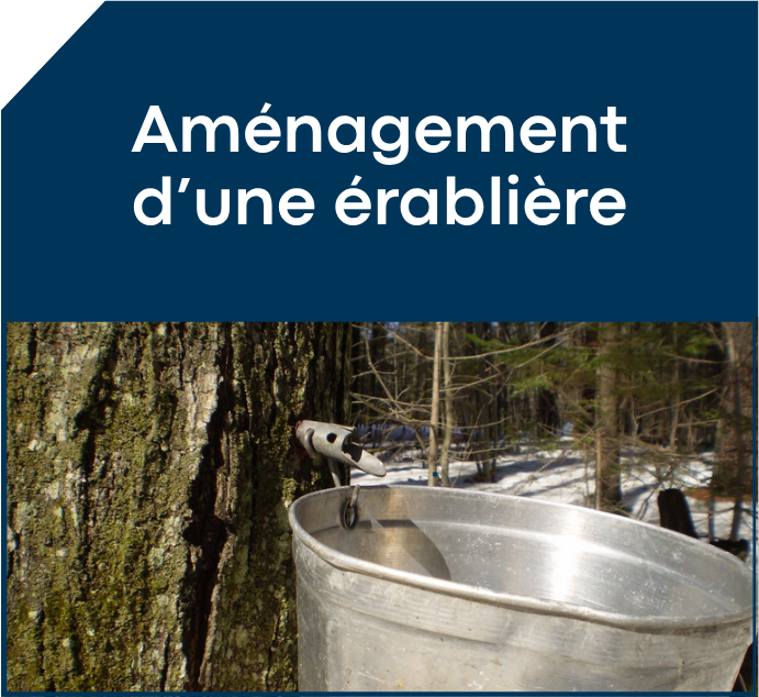 Programmation automne 2026 3 PA2026 03