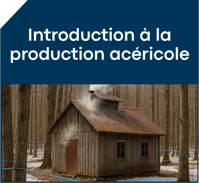 Programmation automne 2026 6 PA2026 06