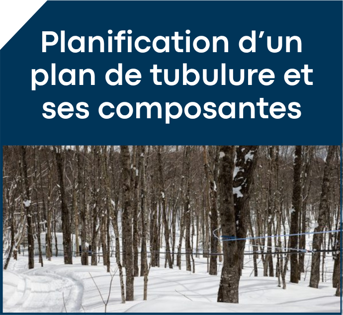 Programmation automne 2026 8 PA2026 08
