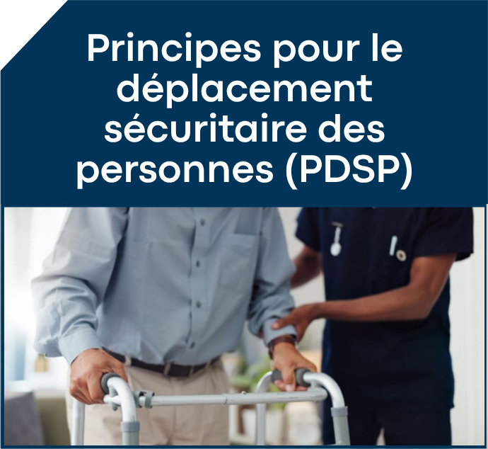 Programmation automne 2026 11 PA2026 11