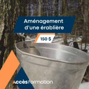 Se lancer en acériculture 3 1