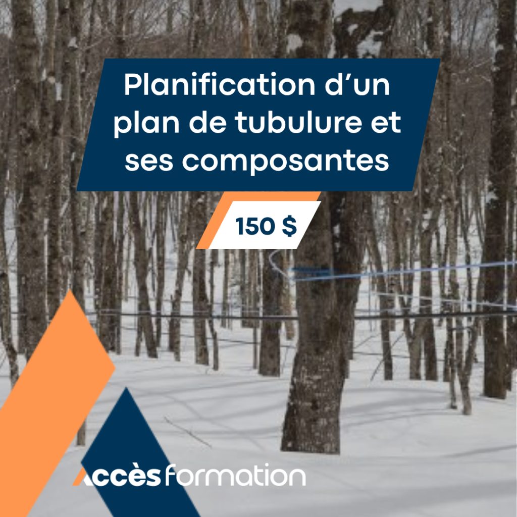 Se lancer en acériculture 4 2