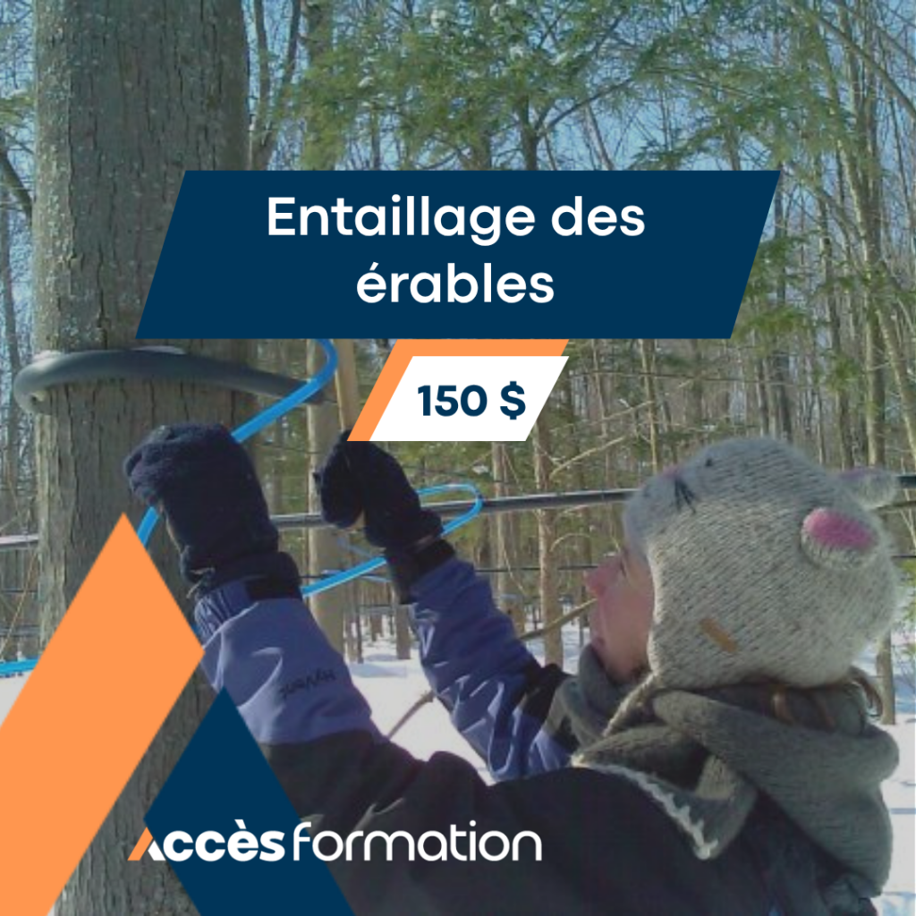 Se lancer en acériculture 6 4