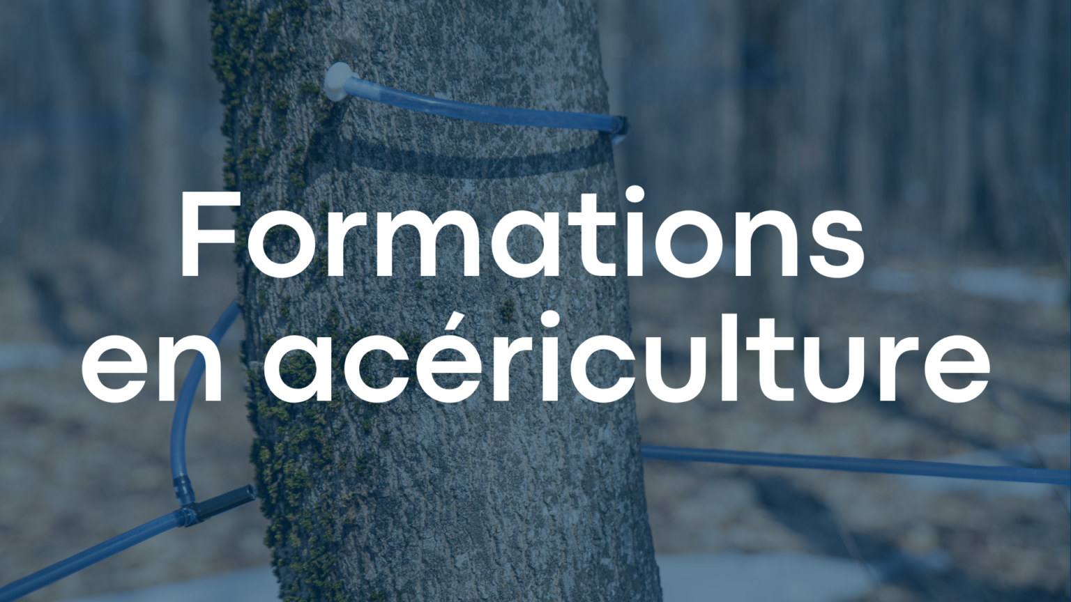 Formations en acériculture